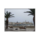 Trani