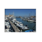 Trani